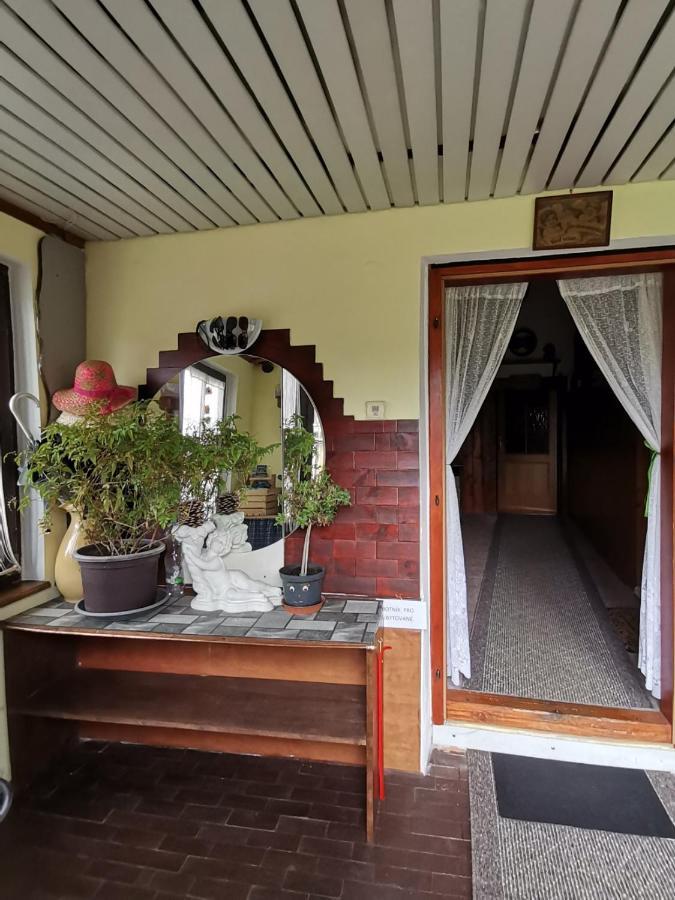 Apartman Ve Mlejne Nova Bystrice Ngoại thất bức ảnh