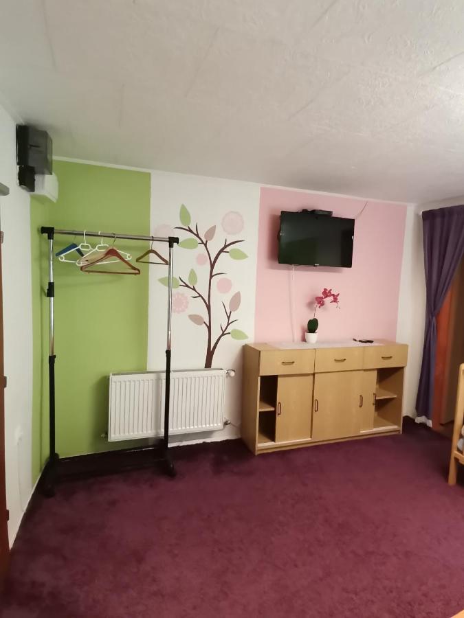 Apartman Ve Mlejne Nova Bystrice Ngoại thất bức ảnh