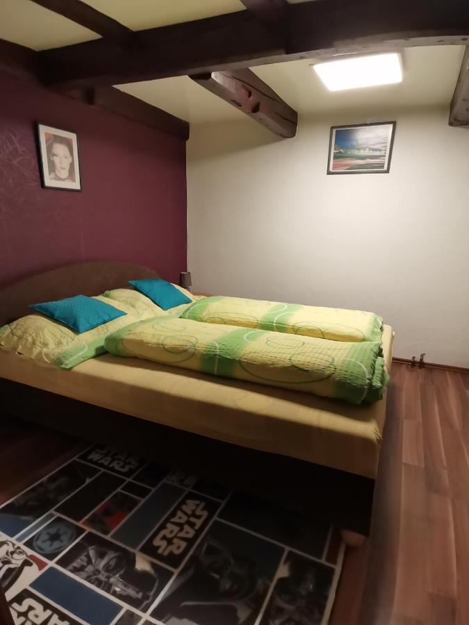 Apartman Ve Mlejne Nova Bystrice Ngoại thất bức ảnh