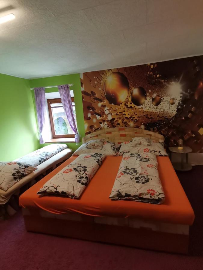 Apartman Ve Mlejne Nova Bystrice Ngoại thất bức ảnh