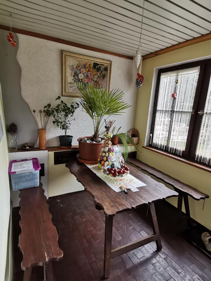 Apartman Ve Mlejne Nova Bystrice Ngoại thất bức ảnh